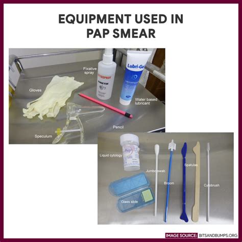 The Pap (Papanicolaou) Test 